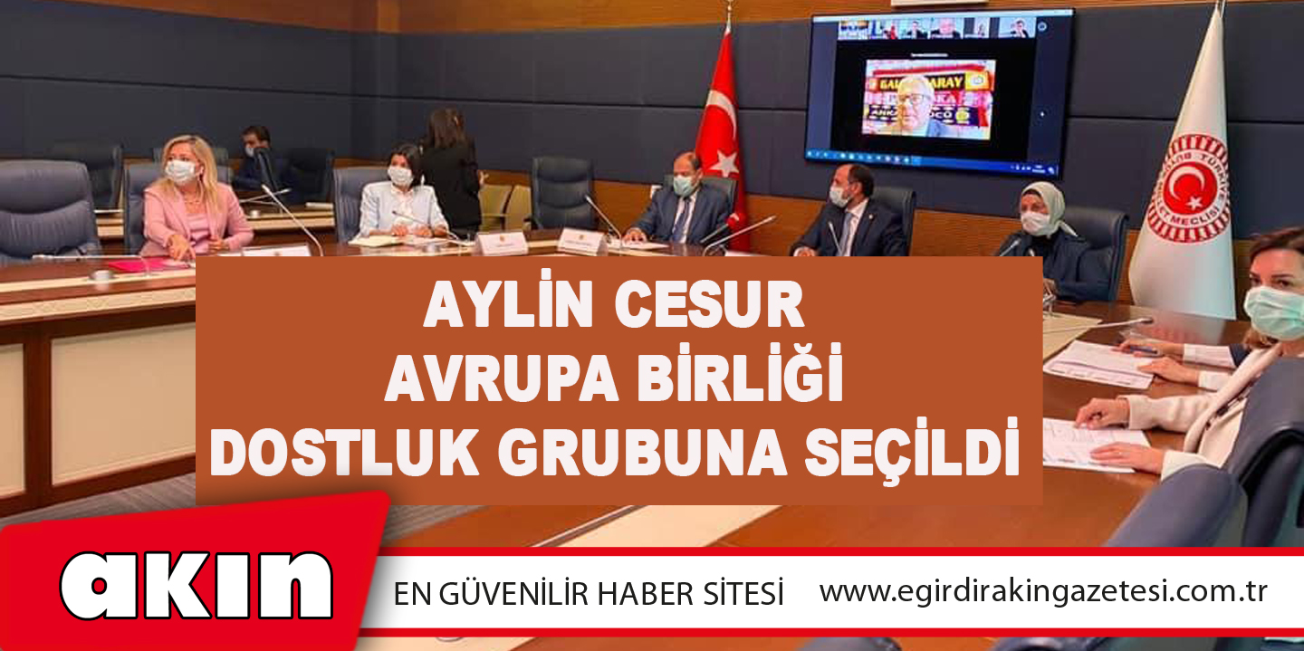Aylin Cesur Avrupa Birliği Dostluk Grubuna Seçildi