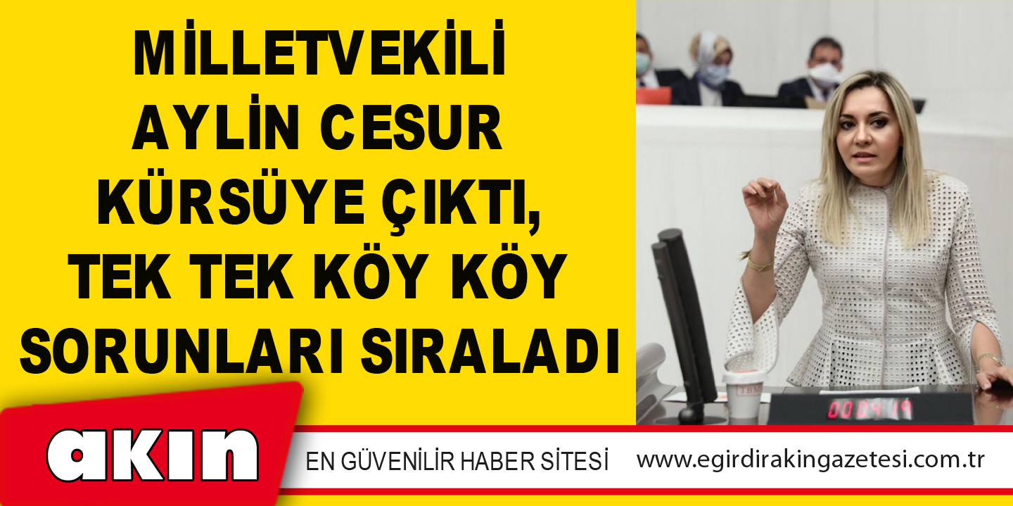 MİLLETVEKİLİ AYLİN CESUR KÜRSÜYE ÇIKTI, TEK TEK KÖY KÖY SORUNLARI SIRALADI