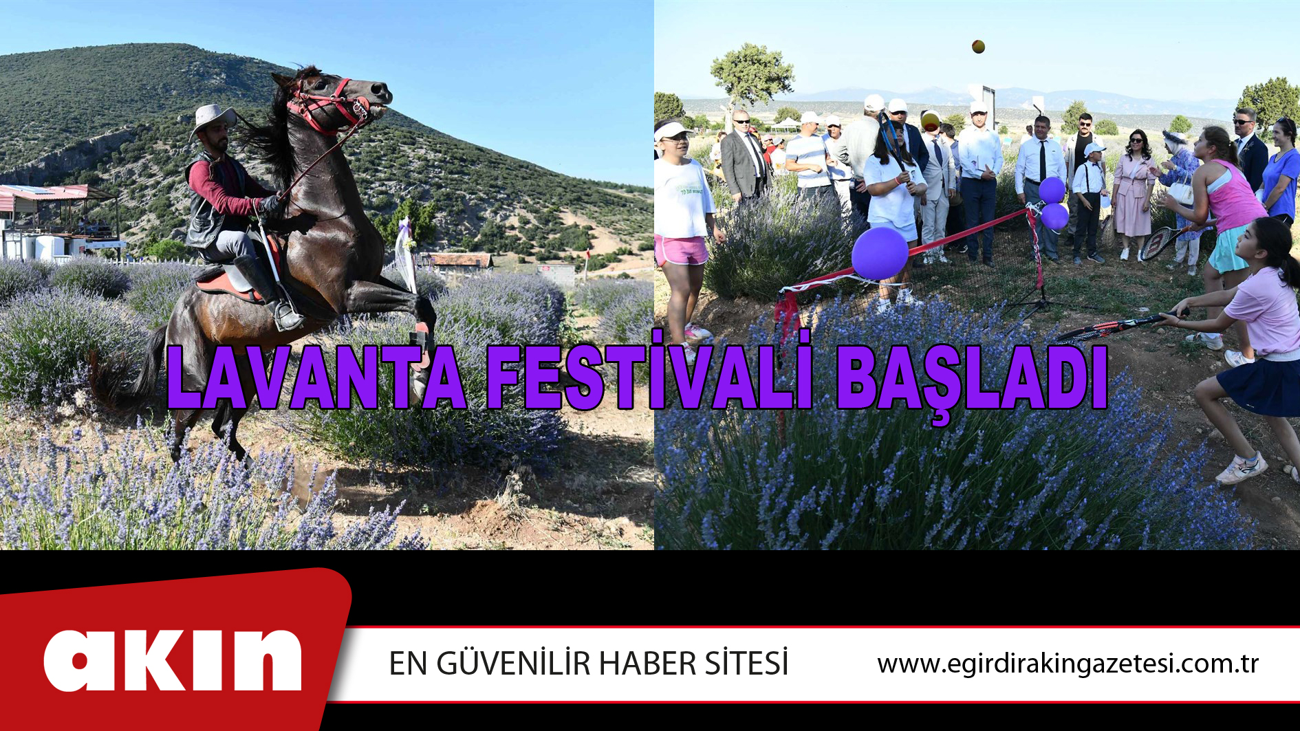 LAVANTA FESTİVALİ BAŞLADI