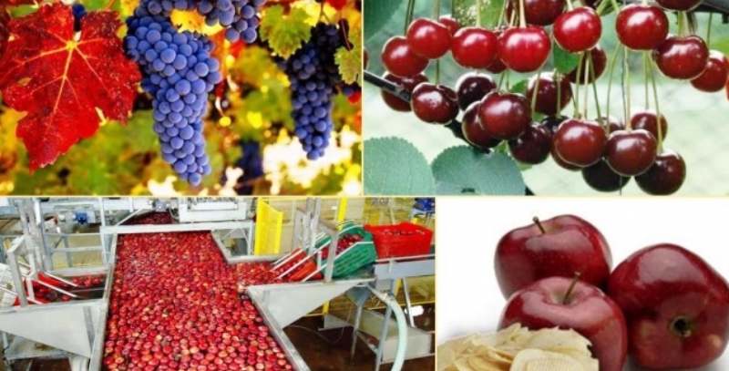Isparta Tarımının Yol Haritası Belirlenecek