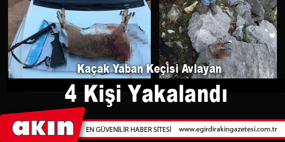 eğirdir haber,akın gazetesi,egirdir haberler,son dakika,Kaçak Yaban Keçisi Avlayan 4 Kişi Yakalandı