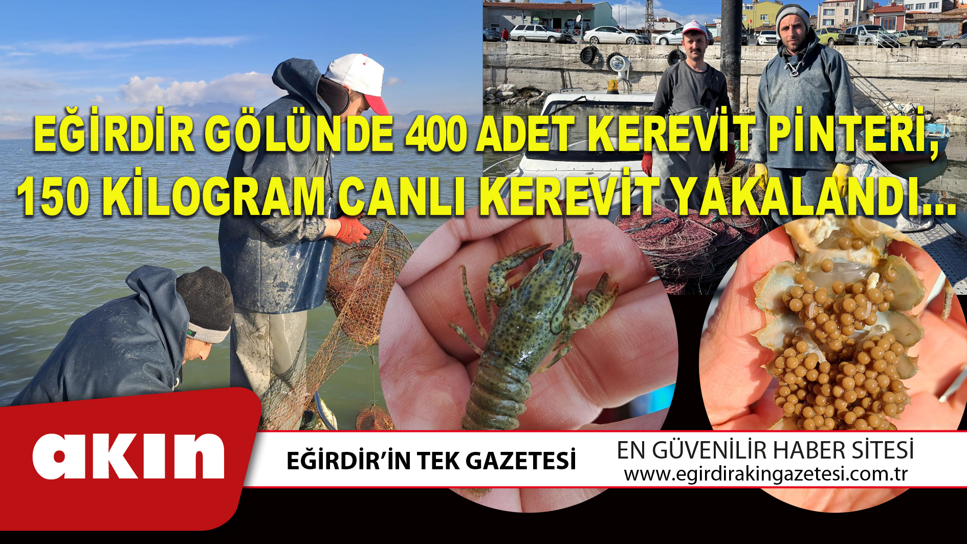 eğirdir haber,akın gazetesi,egirdir haberler,son dakika,EĞİRDİR GÖLÜNDE 400 ADET KEREVİT PİNTERİ, 150 KİLOGRAM CANLI KEREVİT YAKALANDI…