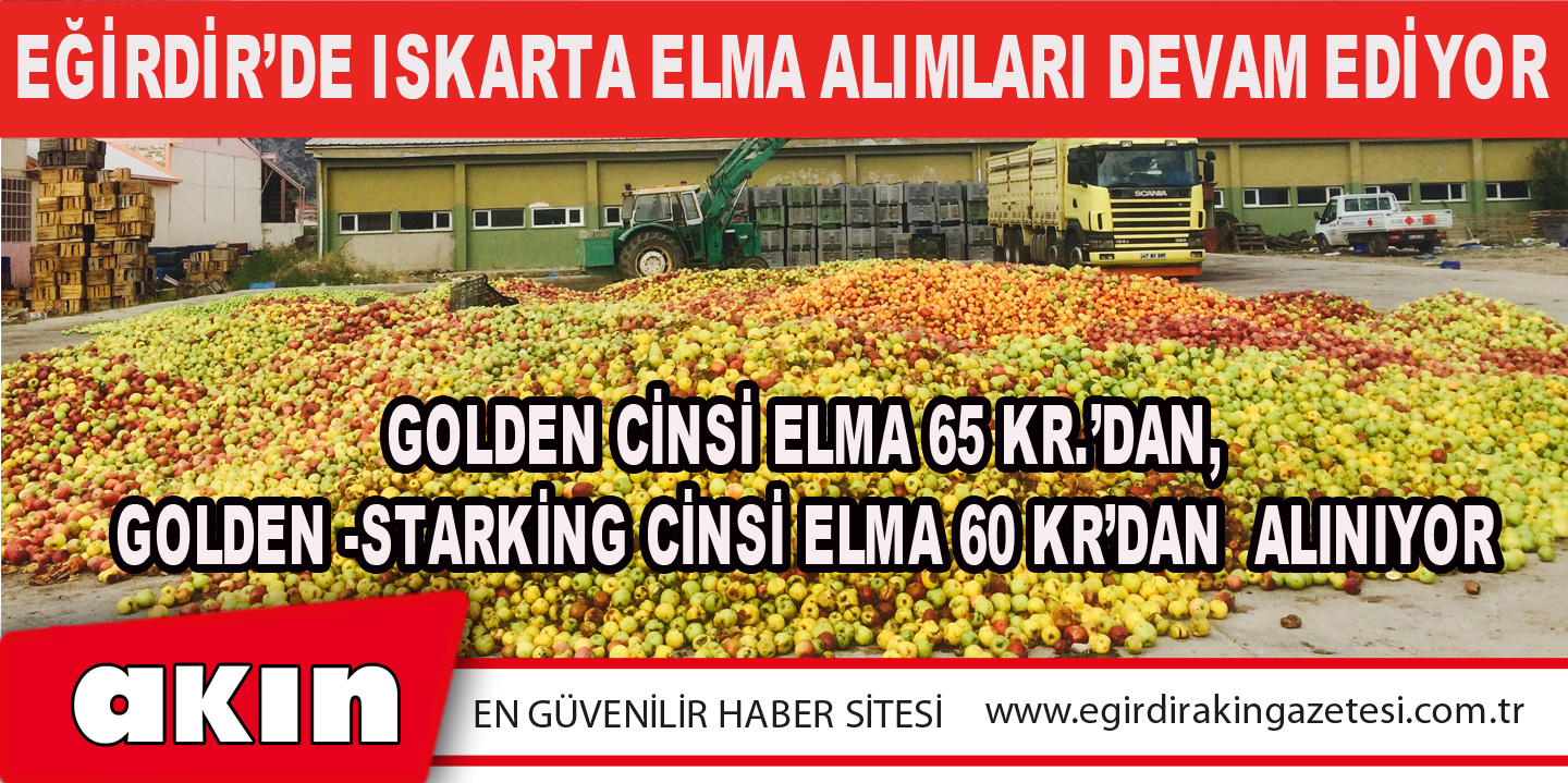 Eğirdir’de Iskarta Elma Alımları Devam Ediyor