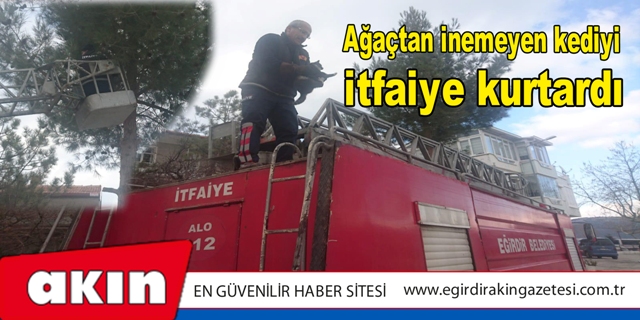 Ağaçtan inemeyen kediyi itfaiye kurtardı