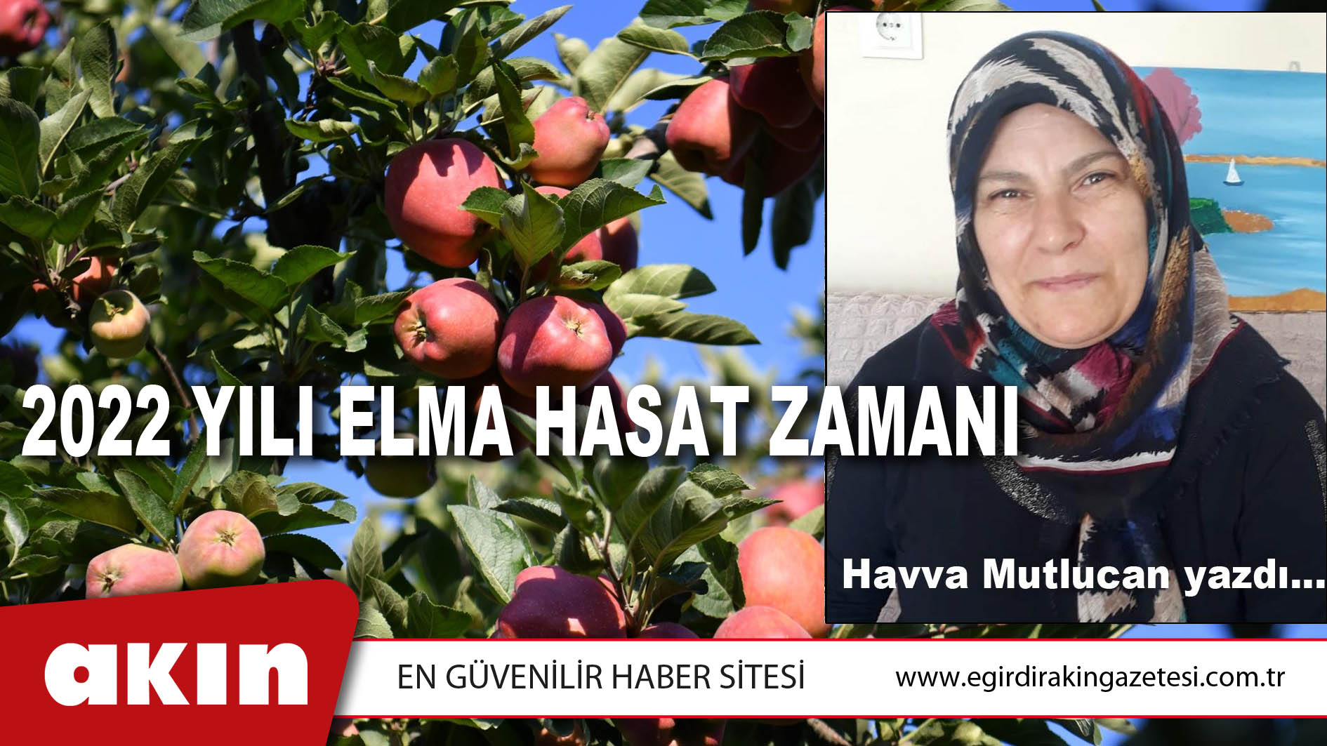 eğirdir haber,akın gazetesi,egirdir haberler,son dakika,2022 YILI ELMA HASAT ZAMANI