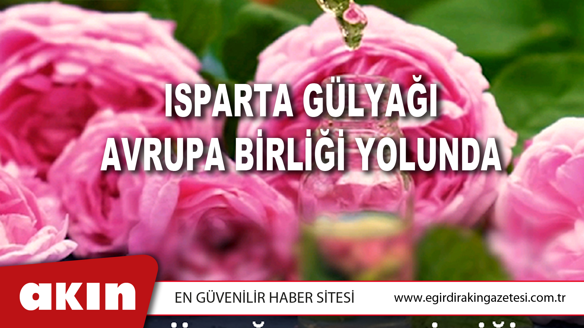 ISPARTA GÜLYAĞI AVRUPA BİRLİĞİ YOLUNDA