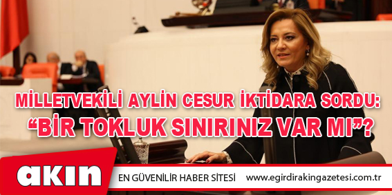 Milletvekili Aylin Cesur İktidara Sordu: “Bir Tokluk Sınırınız Var Mı”?