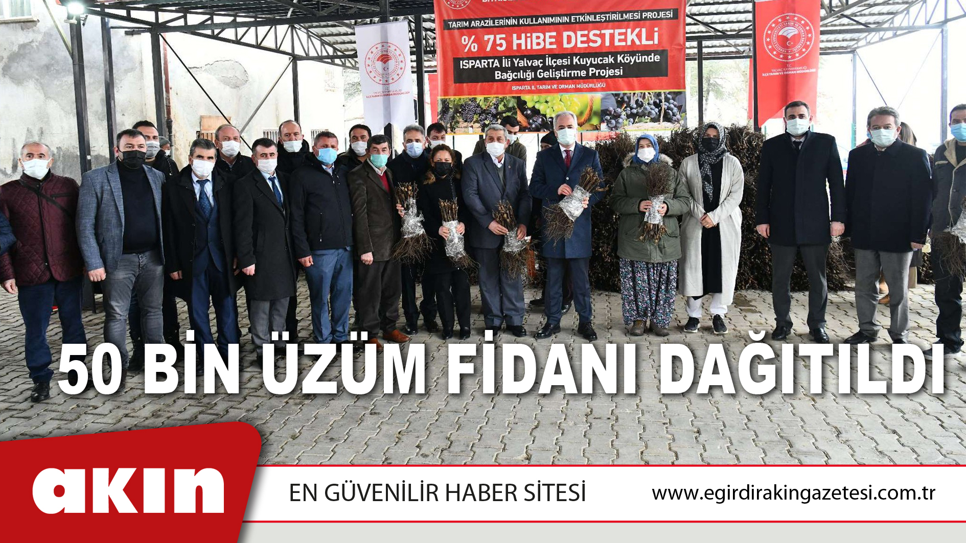 50 Bin Üzüm Fidanı Dağıtıldı