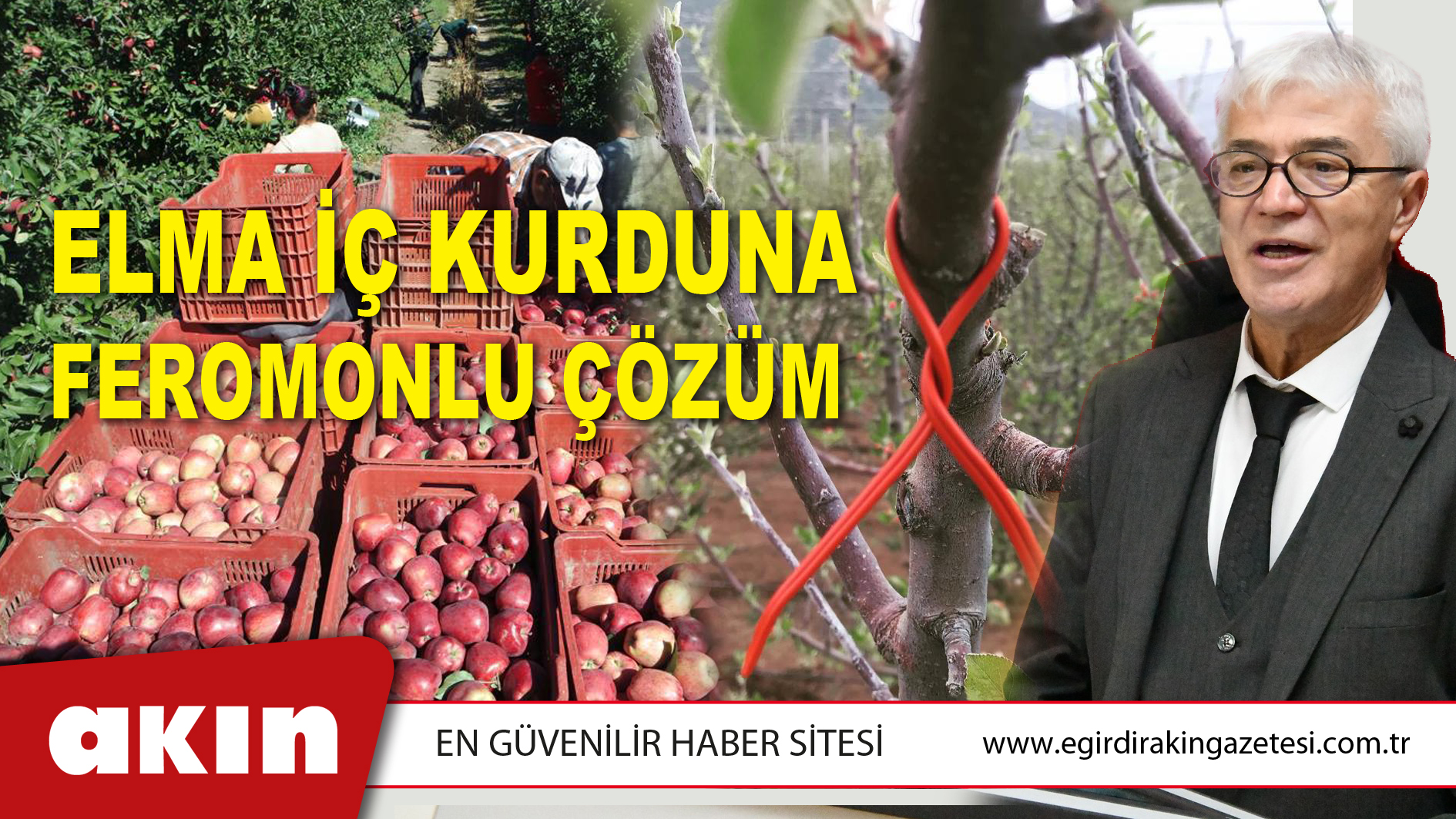 Elma İç Kurduna Feromonlu Çözüm