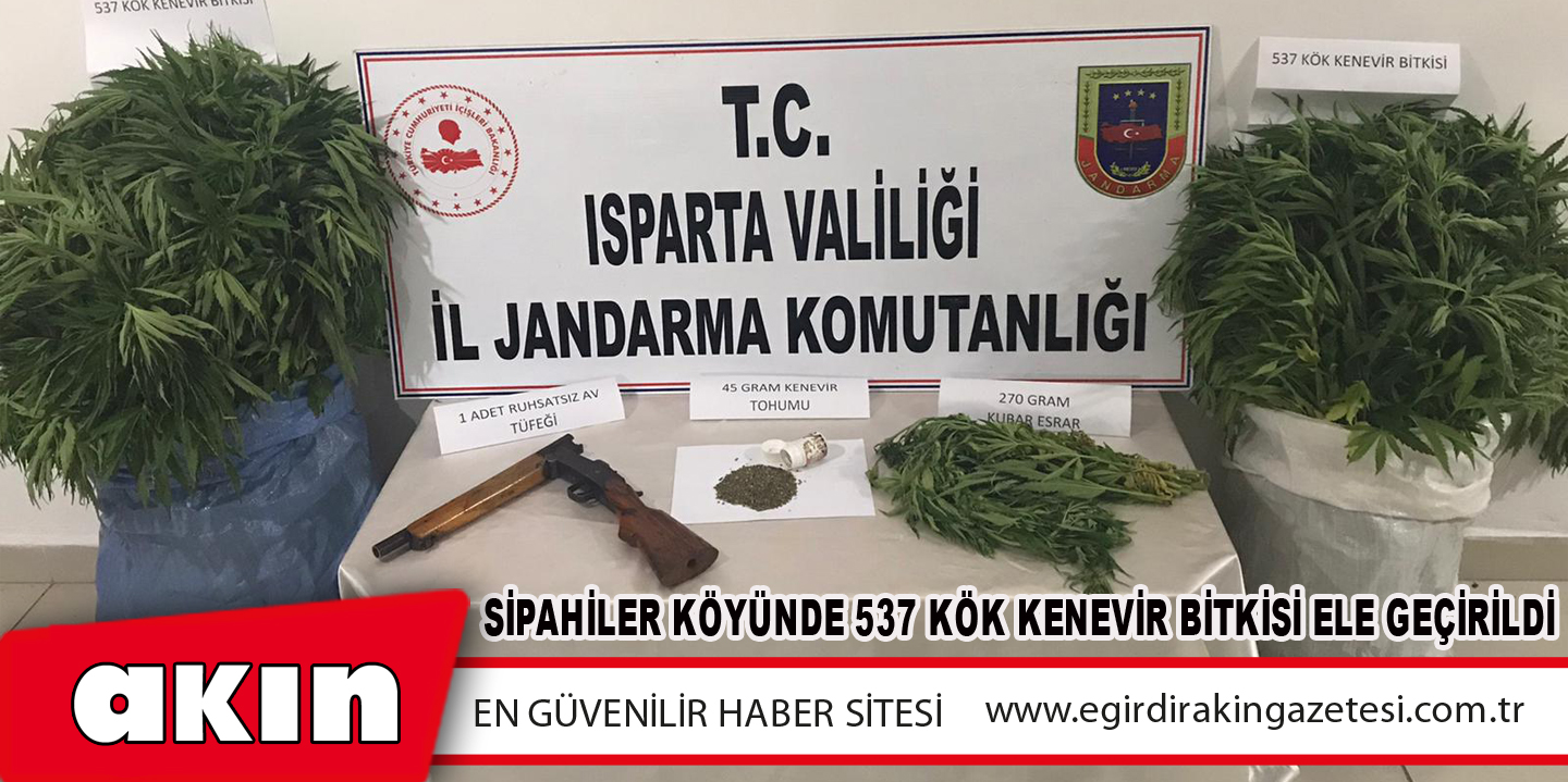 Sipahiler Köyünde 537 Kök Kenevir Bitkisi Ele Geçirildi