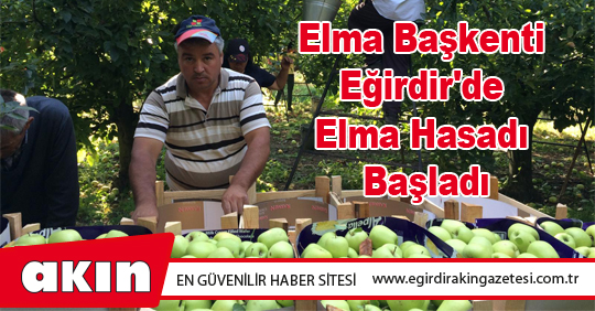 Elma Başkenti Eğirdir'de Elma Hasadı Başladı