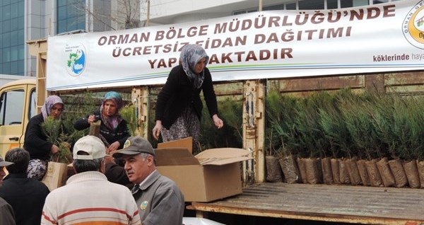 Bin 660 adet badem fidanı sahiplerini buldu