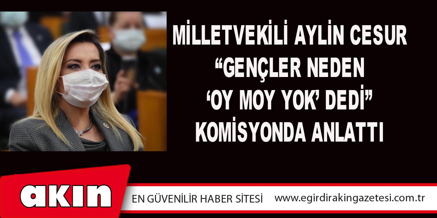 Milletvekili Aylin Cesur “Gençler Neden ‘Oy Moy Yok’ Dedi” Komisyonda Anlattı