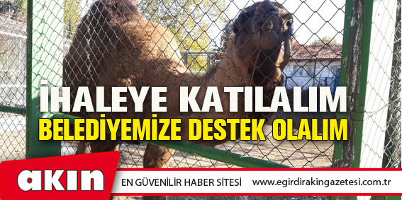 İHALEYE KATILALIM, BELEDİYEMİZE DESTEK OLALIM