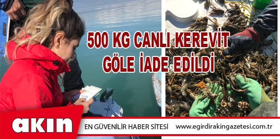 500 Kg Canlı Kerevit Göle İade Edildi