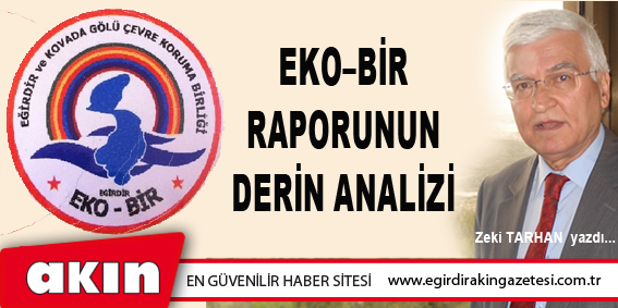 EKO–BİR RAPORUNUN DERİN ANALİZİ (Birinci Bölüm)