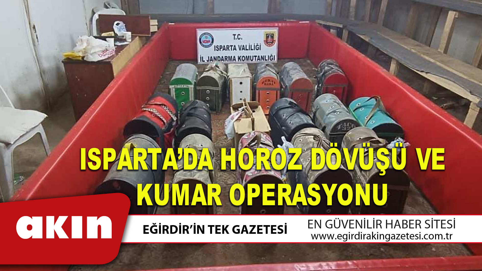 ISPARTA’DA HOROZ DÖVÜŞÜ VE KUMAR OPERASYONU