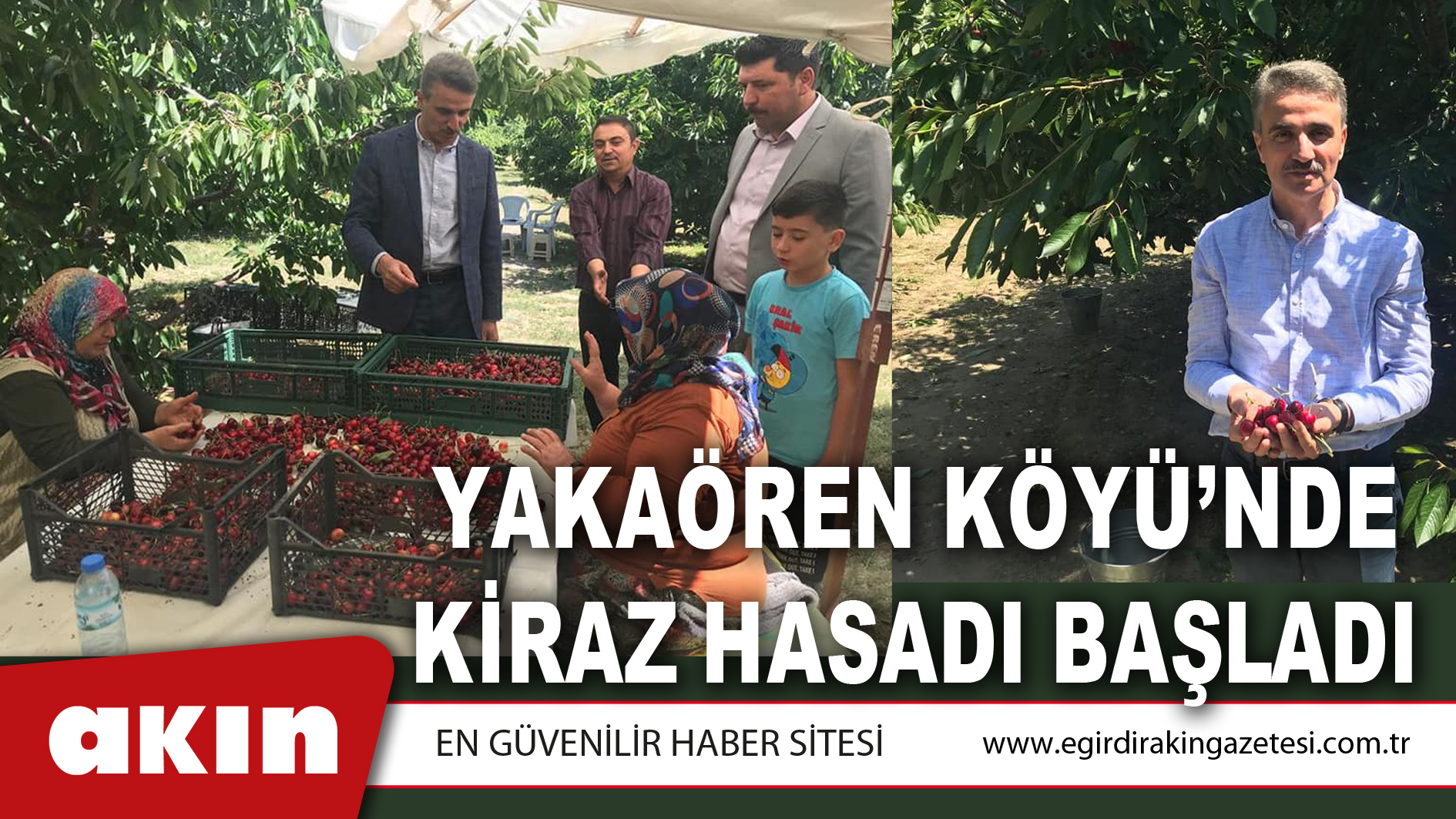 YAKAÖREN KÖYÜ’NDE KİRAZ HASADI BAŞLADI