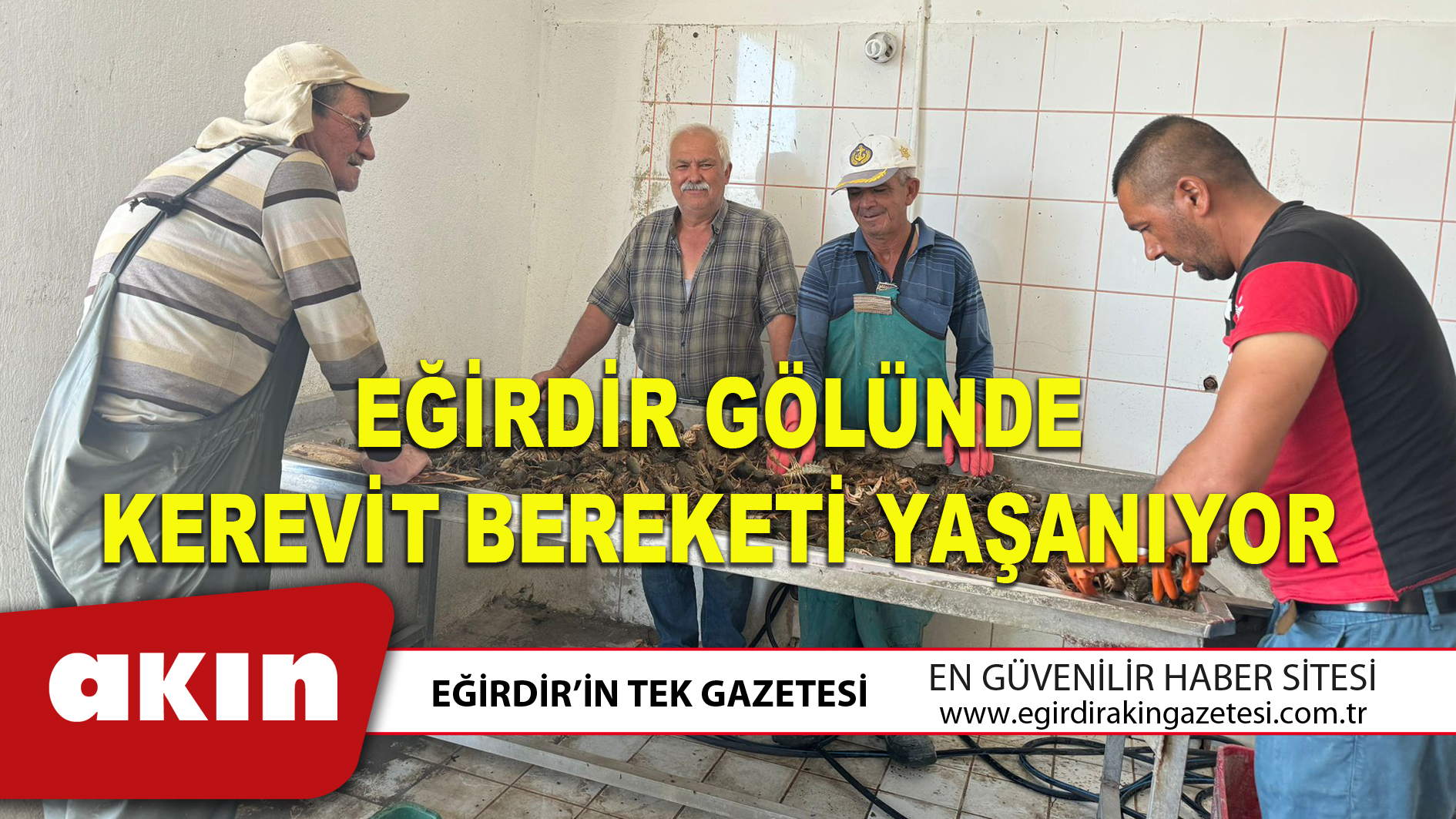 EĞİRDİR GÖLÜNDE KEREVİT BEREKETİ YAŞANIYOR
