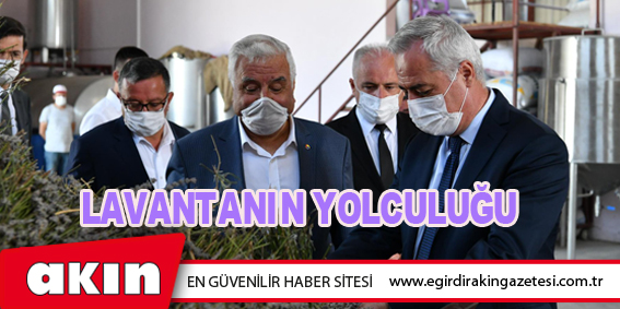 LAVANTANIN YOLCULUĞU