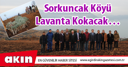 Sorkuncak Köyü Lavanta Kokacak…