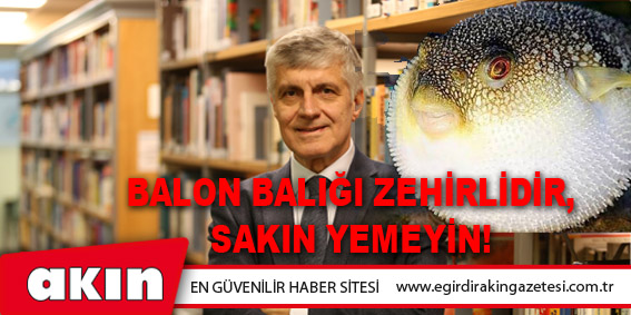 Balon Balığı Zehirlidir, Sakın Yemeyin!