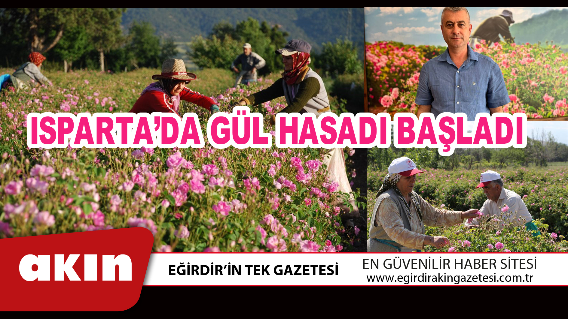 ISPARTA’DA GÜL HASADI BAŞLADI  