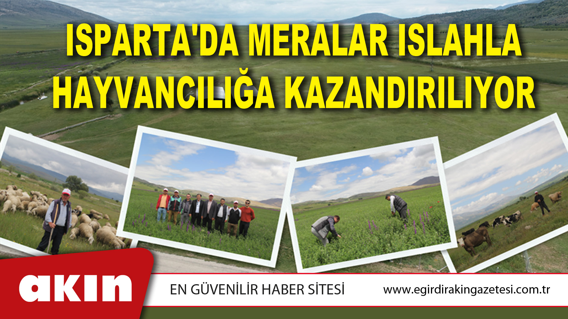 Isparta'da Meralar Islahla Hayvancılığa Kazandırılıyor