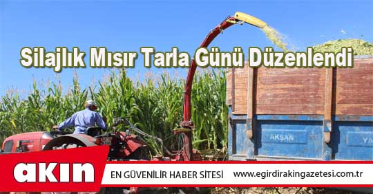 Silajlık Mısır Tarla Günü Düzenlendi