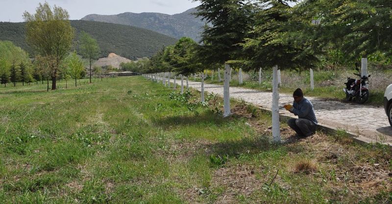 Balık Havuzlarında Çalışmalarda Sona Gelindi