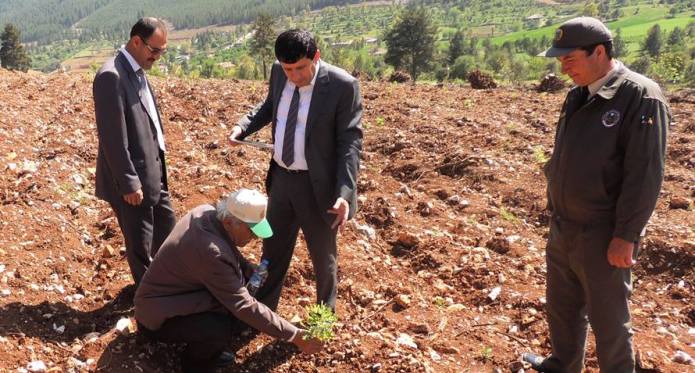 Köylülerin geliri trüf mantarı ile artacak