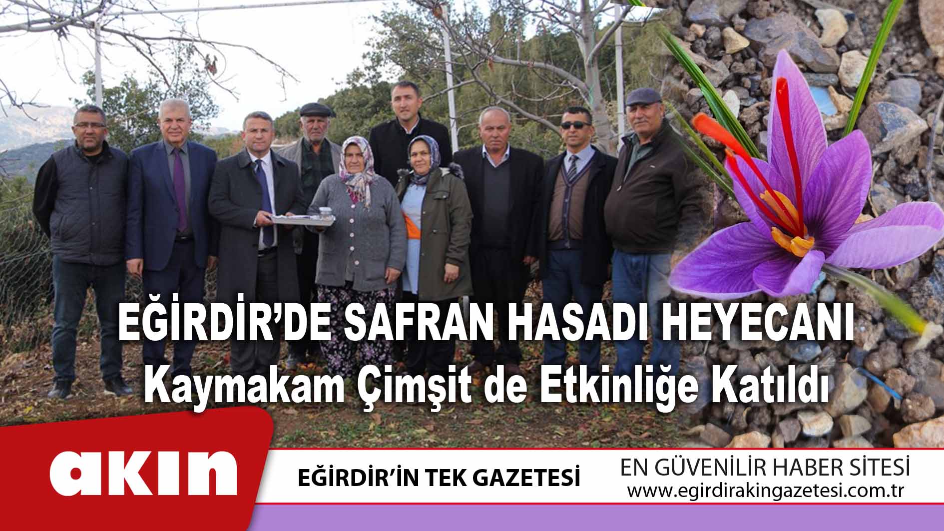 Eğirdir’de Safran Hasadı Heyecanı
