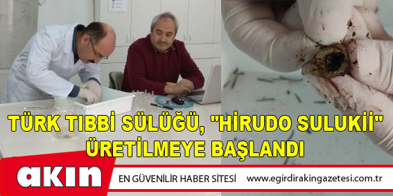 eğirdir haber,akın gazetesi,egirdir haberler,son dakika,Türk Tıbbi Sülüğü, "Hirudo Sulukii" Üretilmeye Başlandı