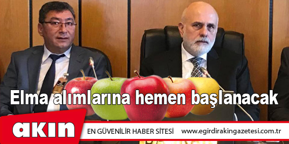 Elma alımlarına hemen başlanacak