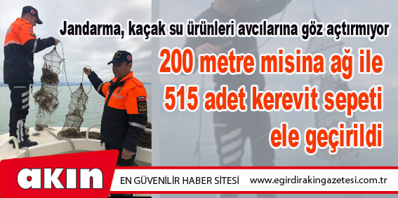 Jandarma, kaçak su ürünleri avcılarına göz açtırmıyor