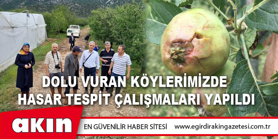 Dolu Vuran Köylerimizde Hasar Tespit Çalışmaları Yapıldı