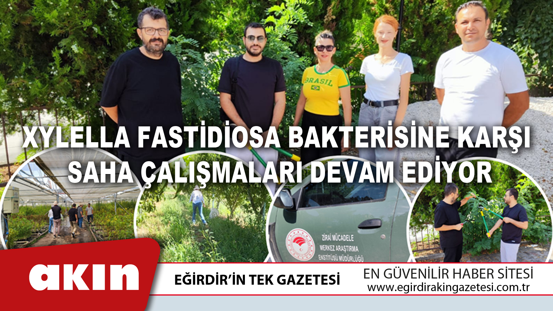 Xylella Fastidiosa Bakterisine Karşı Saha Çalışmaları Devam Ediyor