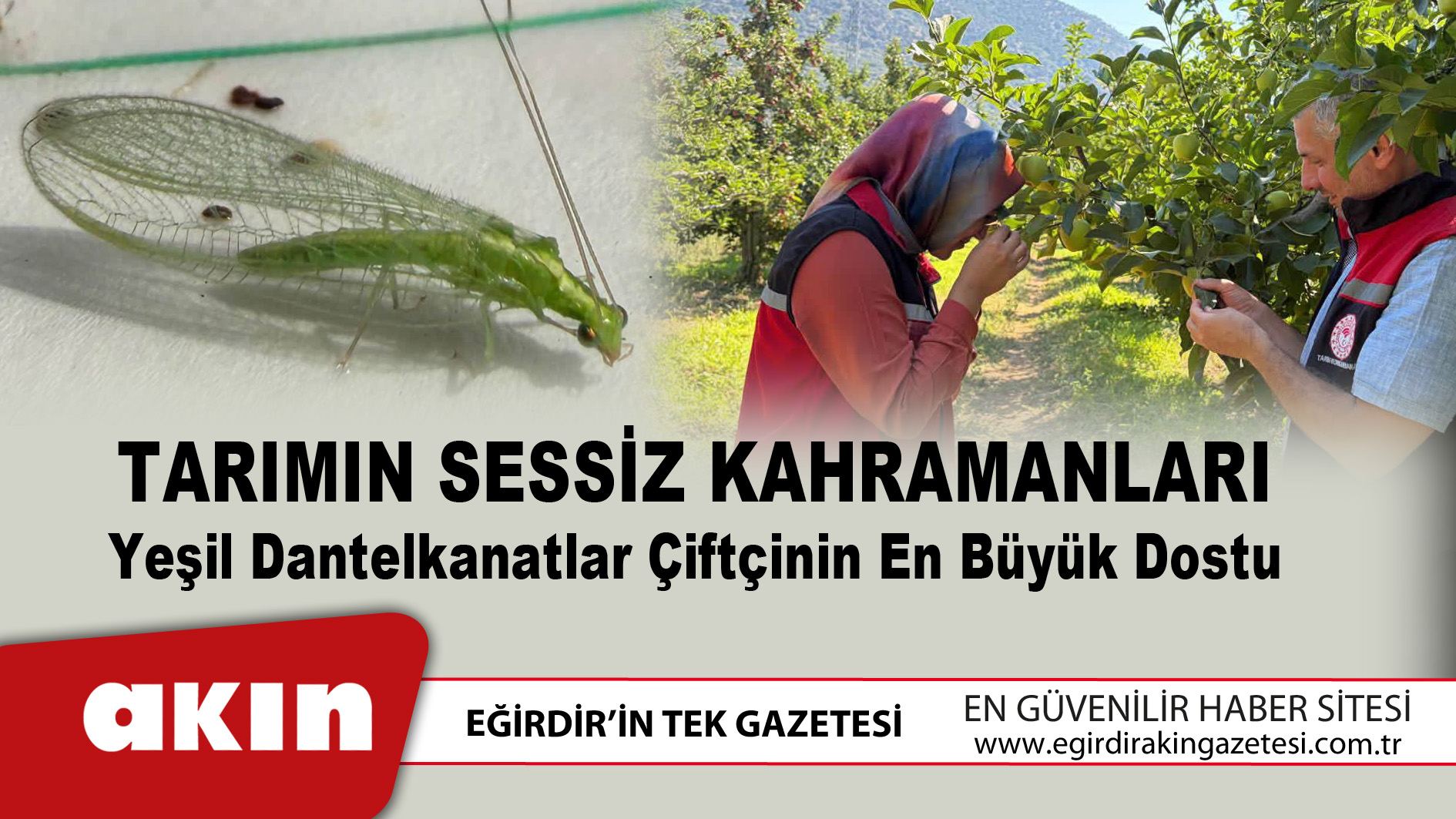 eğirdir haber,akın gazetesi,egirdir haberler,son dakika,Tarımın Sessiz Kahramanları
