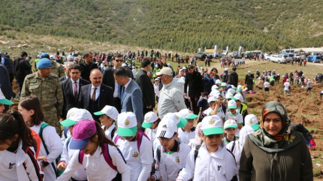 Vali Günaydın: “Orman Oluşturmak Kadar, Korumak Da Önemli”  