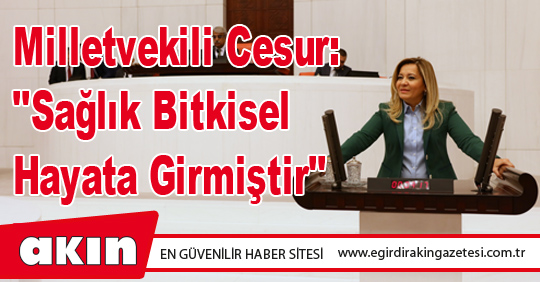 Milletvekili Cesur: 