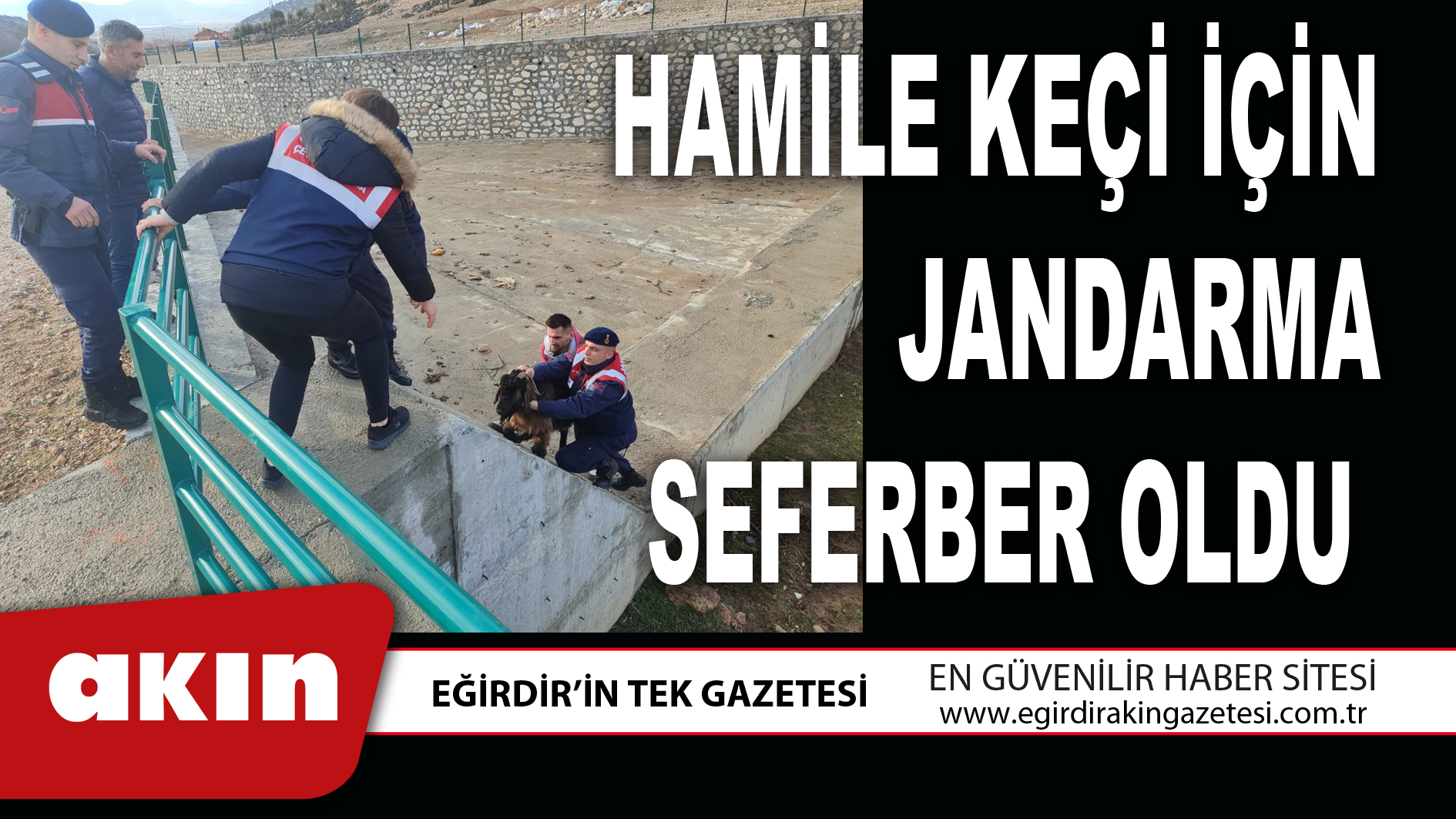 eğirdir haber,akın gazetesi,egirdir haberler,son dakika,HAMİLE KEÇİ İÇİN JANDARMA SEFERBER OLDU