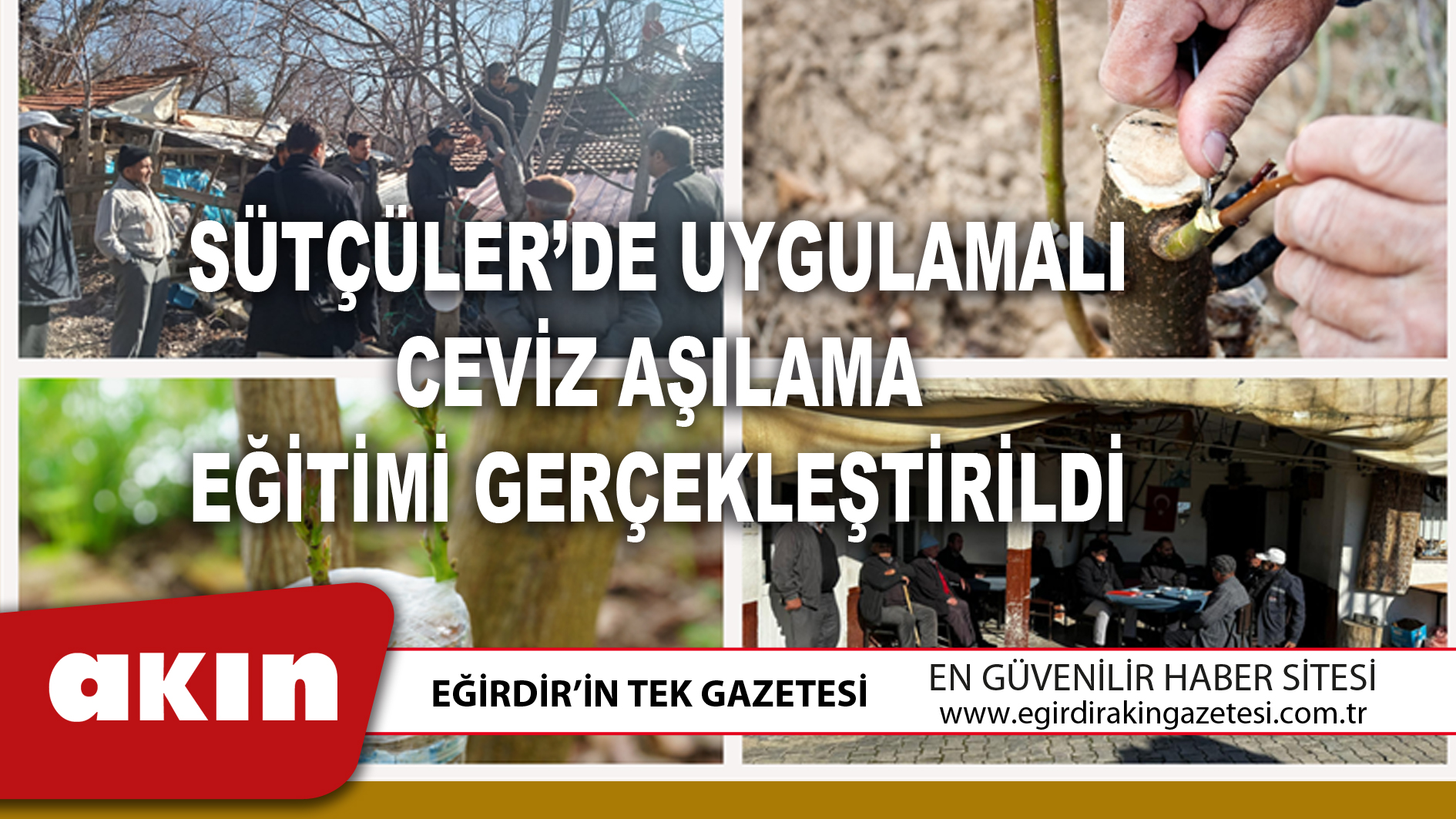 SÜTÇÜLER’DE UYGULAMALI CEVİZ AŞILAMA EĞİTİMİ GERÇEKLEŞTİRİLDİ