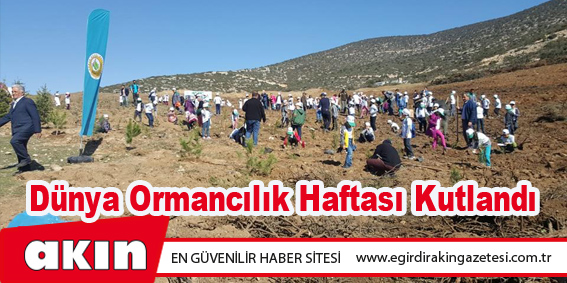 Dünya Ormancılık Haftası Kutlandı