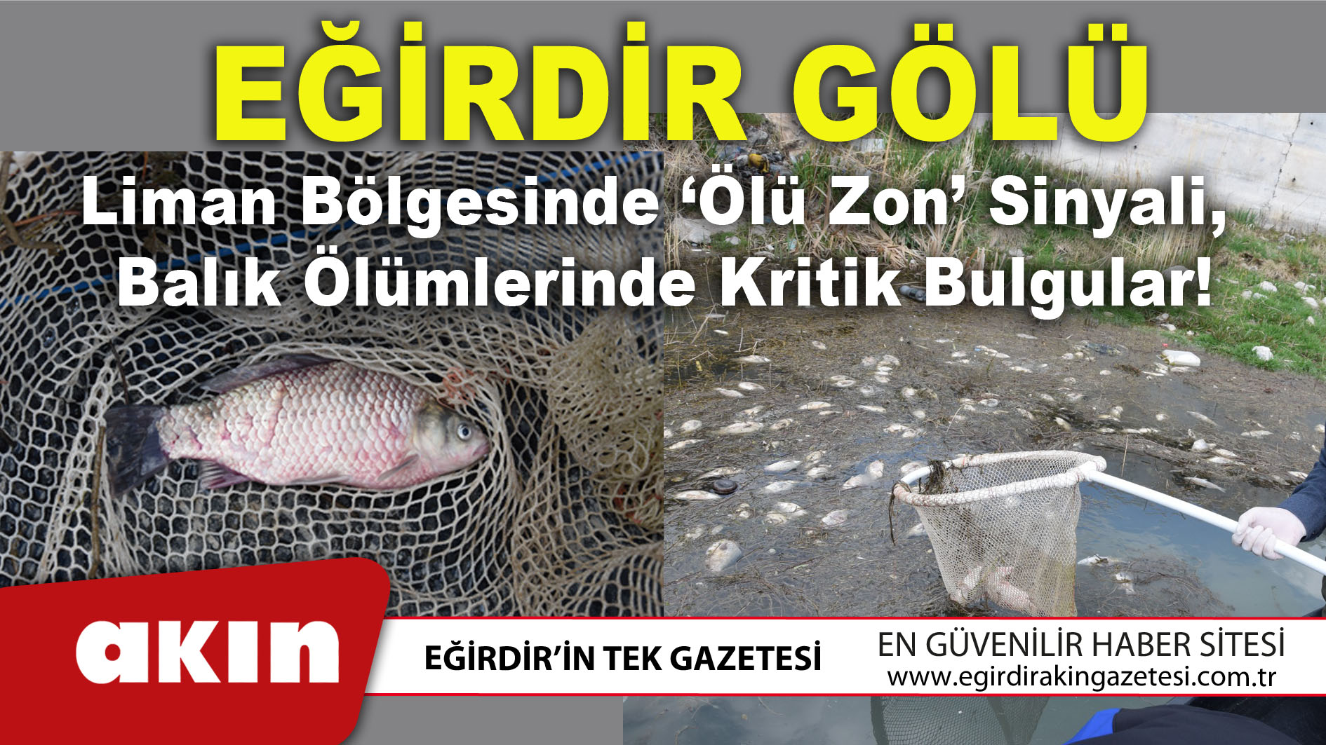 Eğirdir Gölü Liman Bölgesinde ‘Ölü Zon’ Sinyali Balık Ölümlerinde Kritik Bulgular