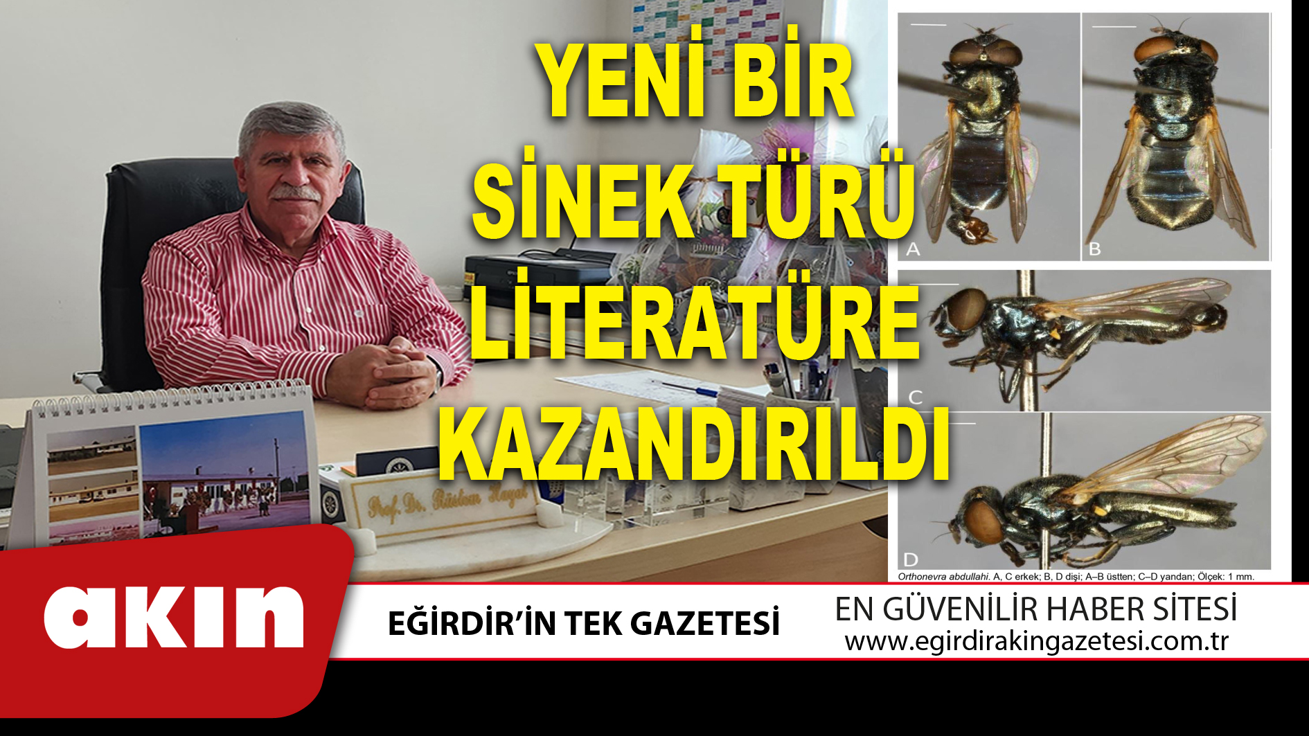 eğirdir haber,akın gazetesi,egirdir haberler,son dakika,Yeni Bir Sinek Türü Literatüre Kazandırıldı