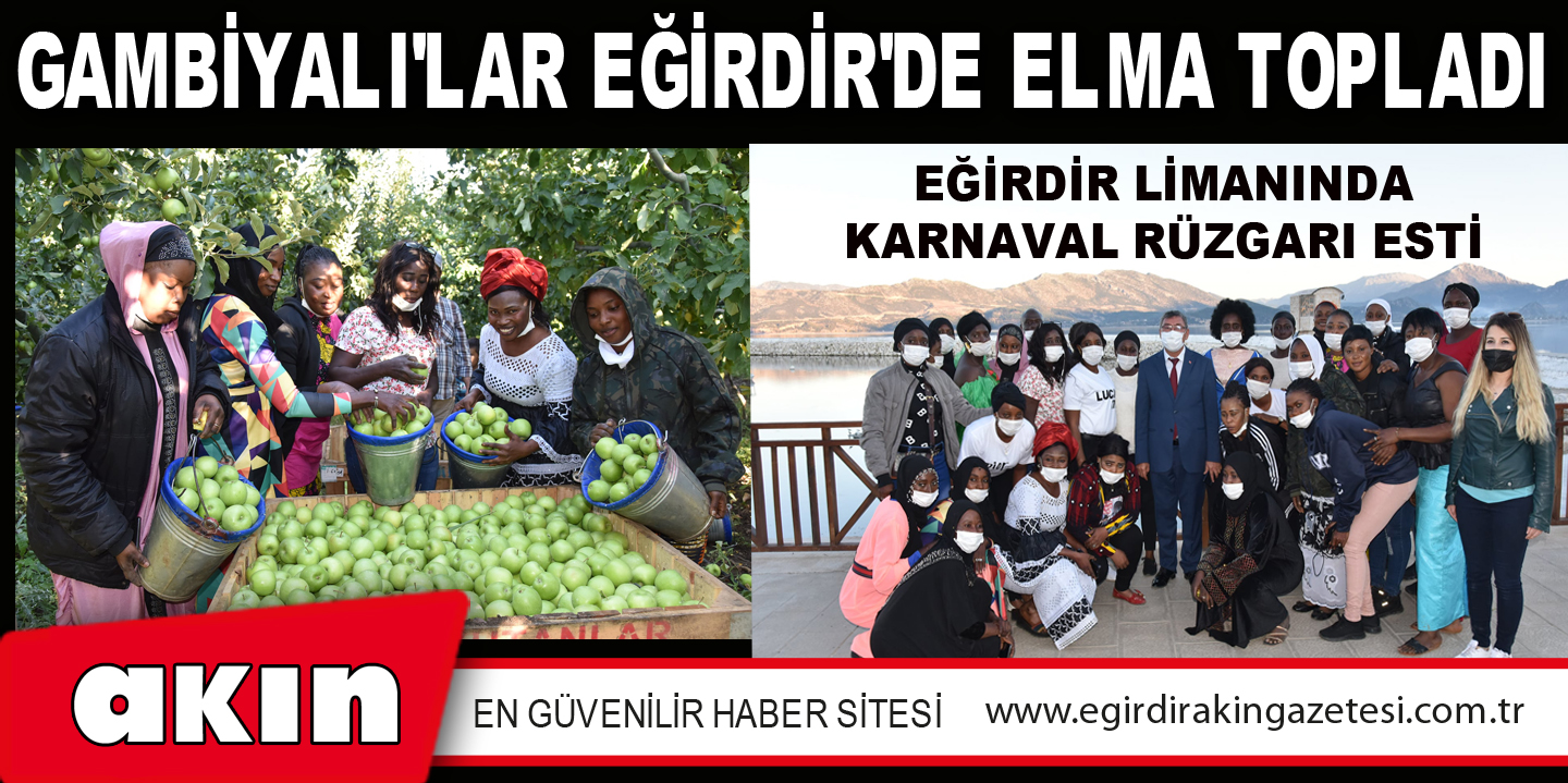 eğirdir haber,akın gazetesi,egirdir haberler,son dakika,Gambiyalı'lar Eğirdir'de Elma Topladı