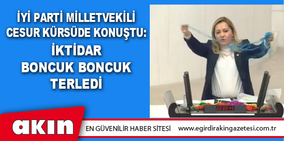 İYİ PARTİ MİLLETVEKİLİ CESUR KÜRSÜDE KONUŞTU: İKTİDAR BONCUK BONCUK TERLEDİ