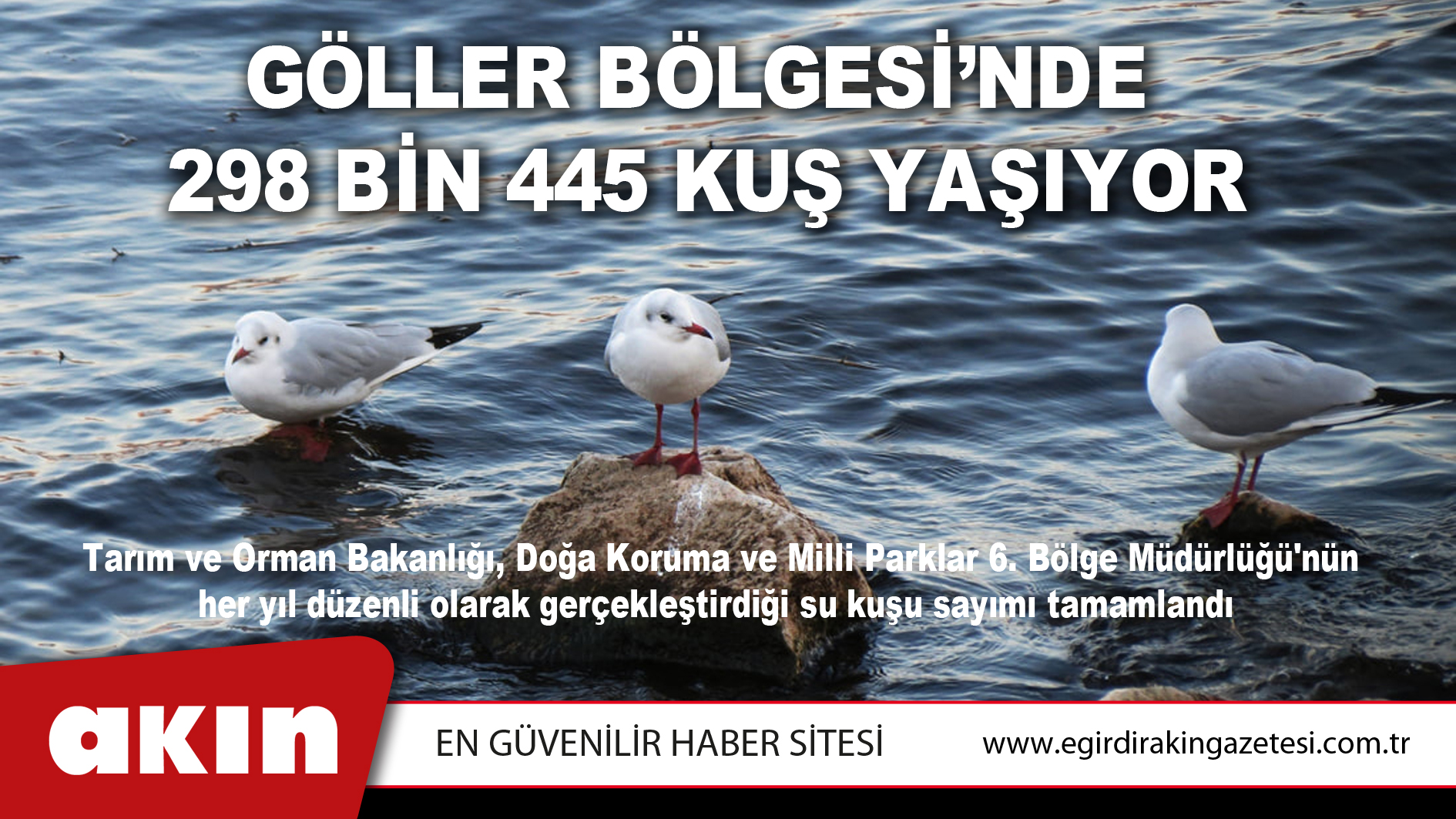 Göller Bölgesi’nde 298 Bin 445 Kuş Yaşıyor