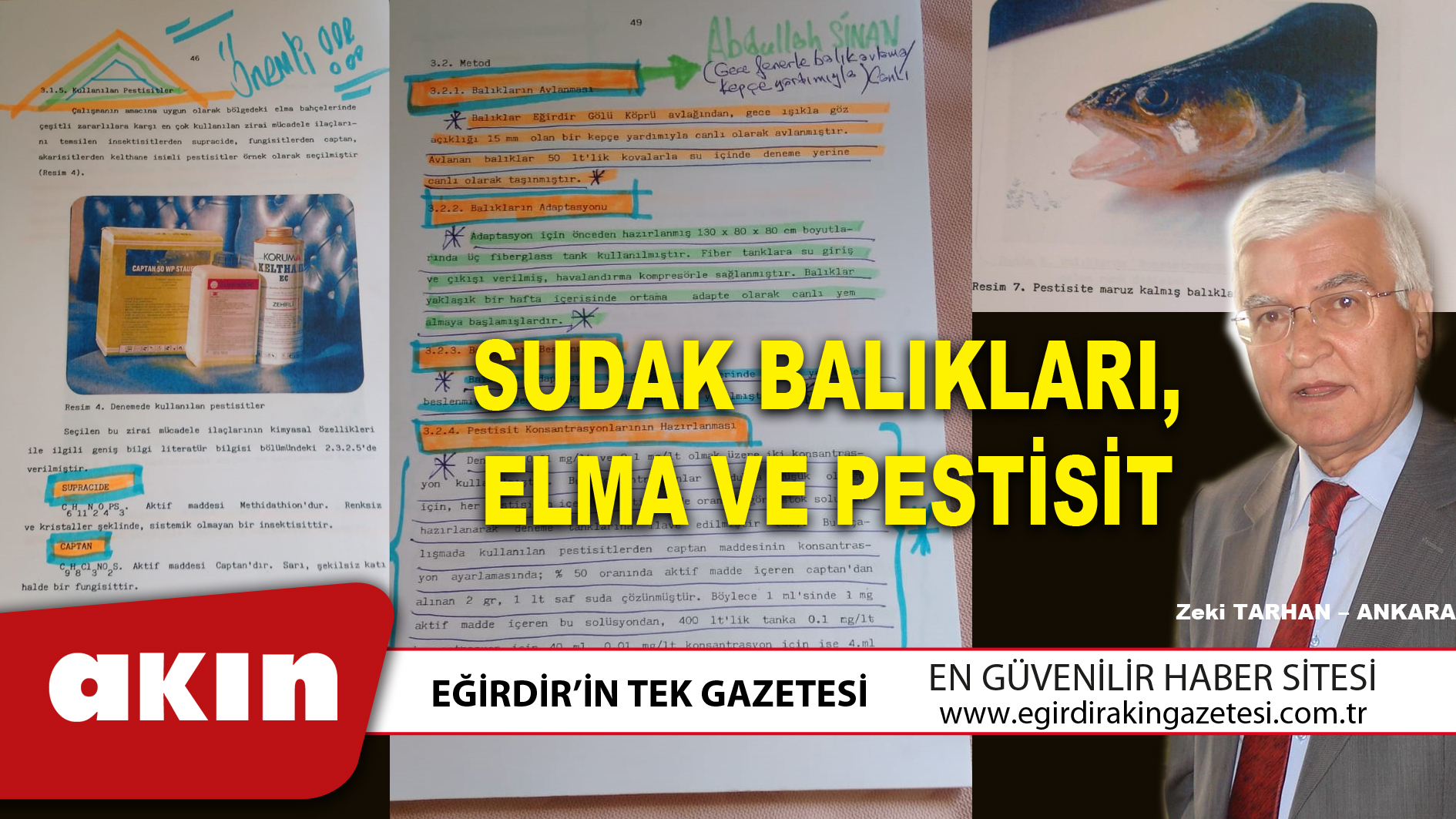 eğirdir haber,akın gazetesi,egirdir haberler,son dakika,SUDAK BALIKLARI ELMA VE PESTİSİT (3. Bölüm)
