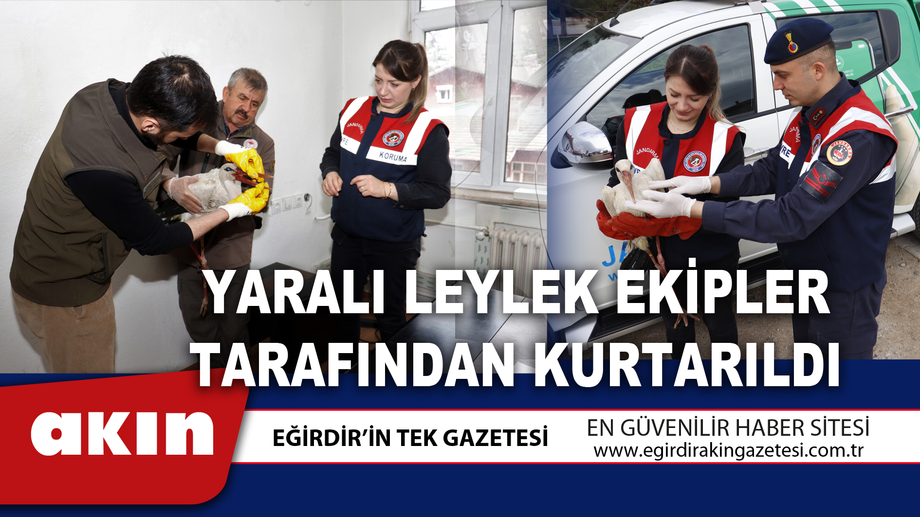 YARALI LEYLEK EKİPLER TARAFINDAN KURTARILDI
